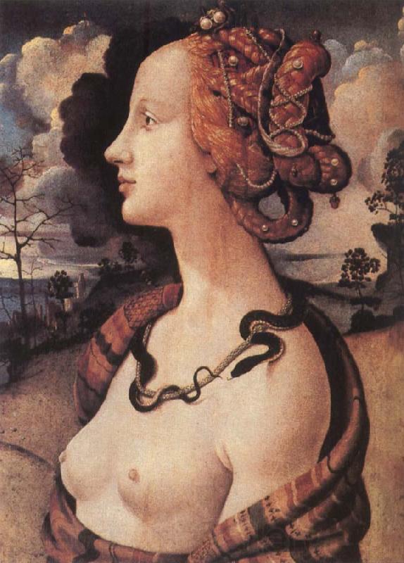 Piero di Cosimo Portrait of Simonetta vespucci Germany oil painting art